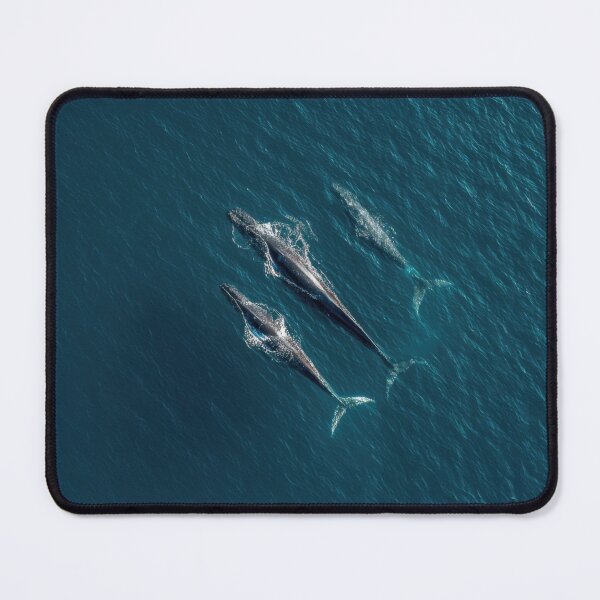 Item preview, Three whales swimming in blue water designed and sold by anytka.