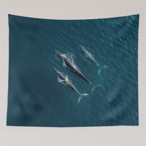 Item preview, Three whales swimming in blue water designed and sold by anytka.