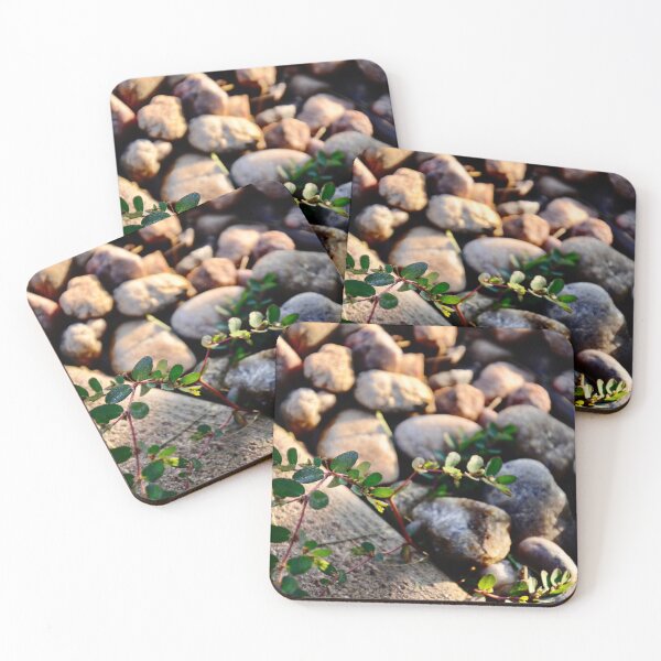 Item preview, River Rocks Landscape Weeds Find A Way. designed and sold by vanessaNotes.