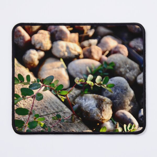 Item preview, River Rocks Landscape Weeds Find A Way. designed and sold by vanessaNotes.