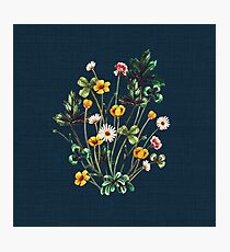 MeadowSweet Autumn on Rustic Blue Photographic Print