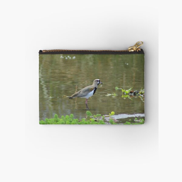 Item preview, Southern Lapwing in Water designed and sold by rhamm.
