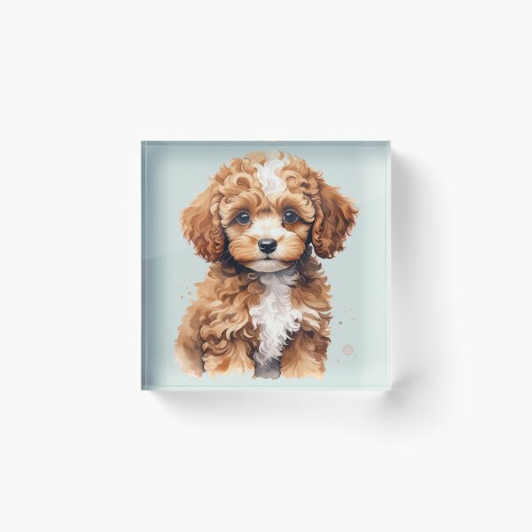 Item preview, Medium brown toy poodle puppy with a white spot on its head designed and sold by LiskoDesign.