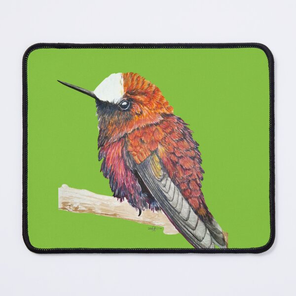 Item preview, Snowcap humingbird hand painted nature art designed and sold by art-elodie-g.