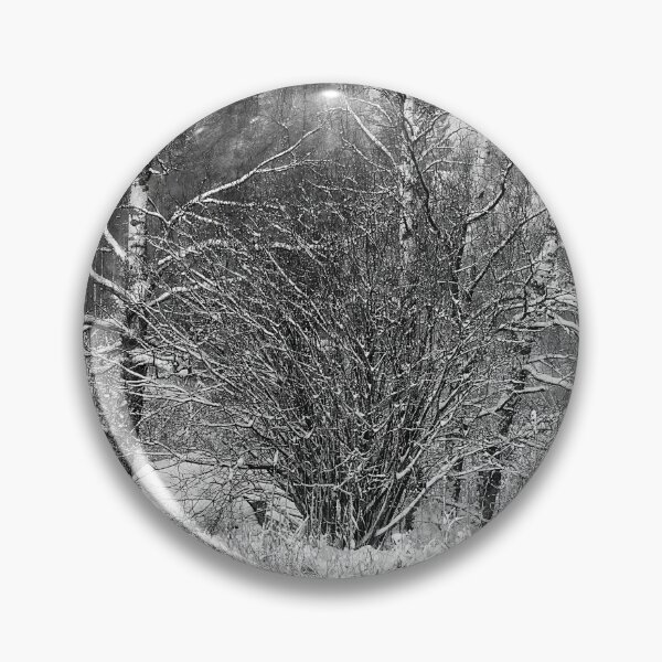 Item preview, A view from the lake. Kulovesi Siuro 2026 bw designed and sold by Jouko Lehto Photography.