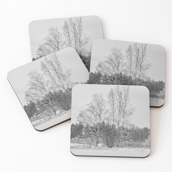 Item preview, A view from the lake. Kulovesi Siuro 2026 bw designed and sold by Jouko Lehto Photography.