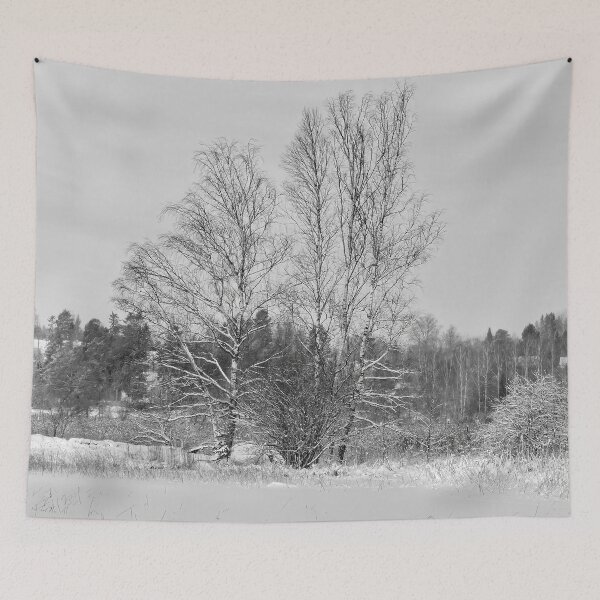 Item preview, A view from the lake. Kulovesi Siuro 2026 bw designed and sold by Jouko Lehto Photography.