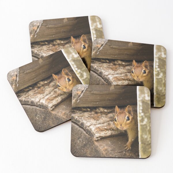 Item preview, Chipmunk, Cuteness Overload designed and sold by HectorCantres.