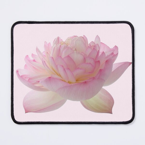 Item preview, water lily lotus flower sticker designed and sold by inainart.
