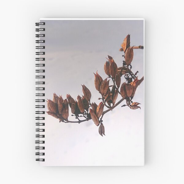 Item preview, Rama seca de lila sobre un fondo de nieve designed and sold by Enerjetal.