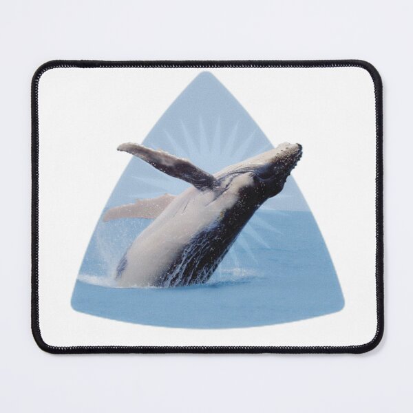 Item preview, Breaching humpback sticker  designed and sold by Deepbluese4.