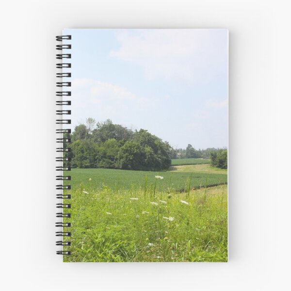 Item preview, SOYBEAN FIELDS designed and sold by Pauline Evans.