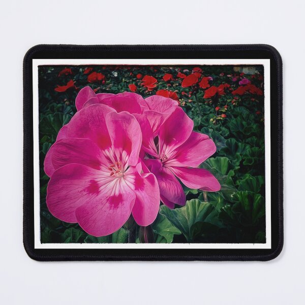 Item preview, Geraniums designed and sold by PementPhotoArt.