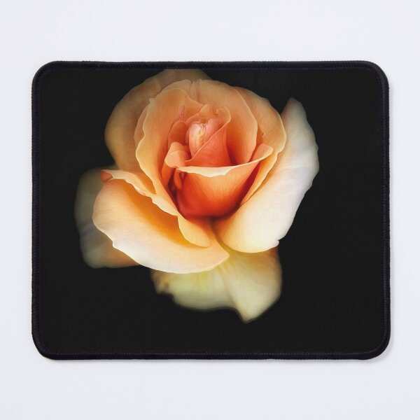 Item preview, Peach Rose designed and sold by PementPhotoArt.