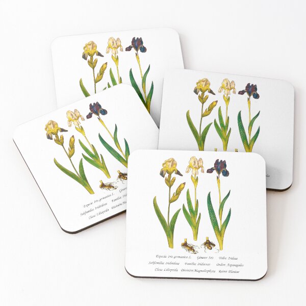Item preview, German Iris designed and sold by Flores1965.