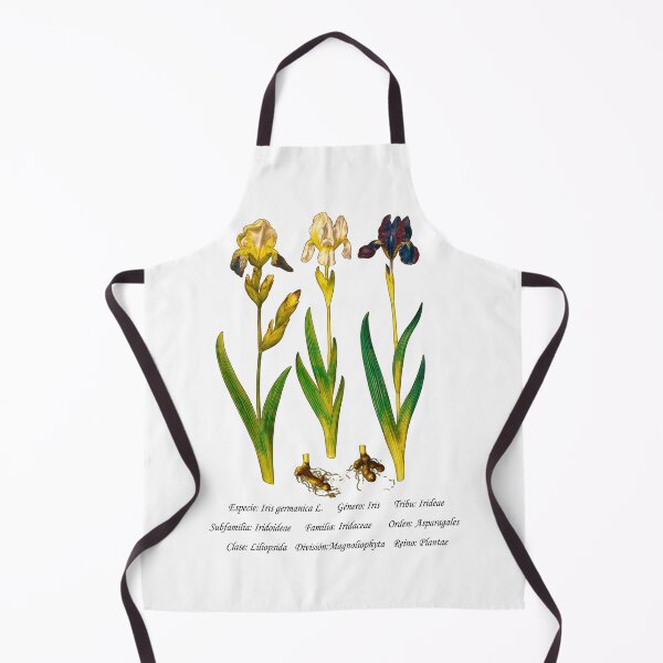 Item preview, German Iris designed and sold by Flores1965.