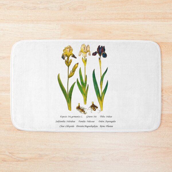 Item preview, German Iris designed and sold by Flores1965.