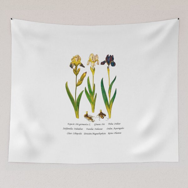 Item preview, German Iris designed and sold by Flores1965.