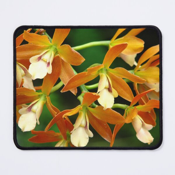 Item preview, Exotic Orchid designed and sold by IndyLady.