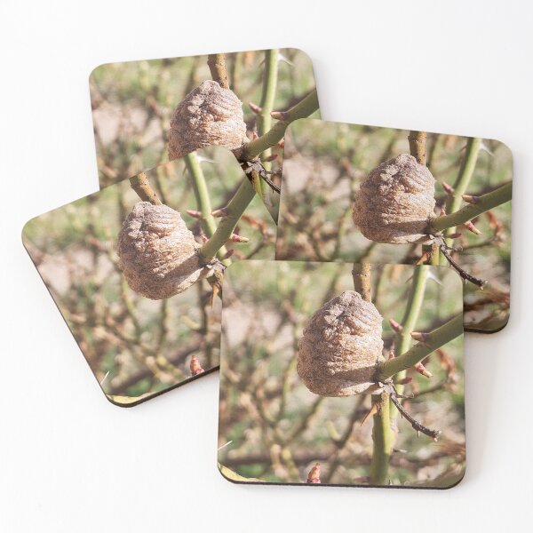 Item preview, Mantis Pod designed and sold by IndyLady.