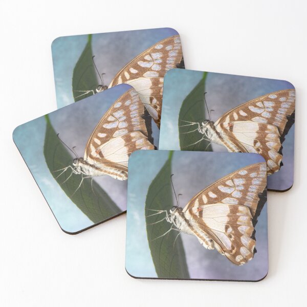 Item preview, Pale Triangle Butterfly designed and sold by robdwildlife.