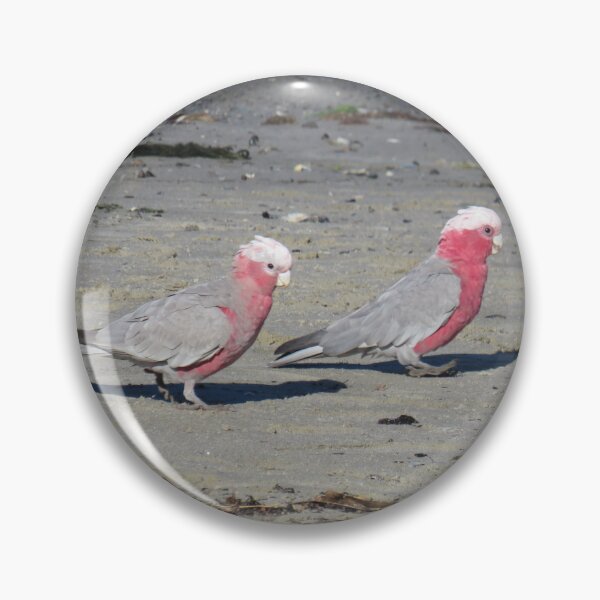 Item preview, Beach galahs designed and sold by greentiger1.