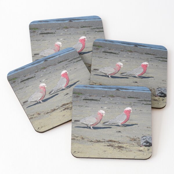 Item preview, Beach galahs designed and sold by greentiger1.