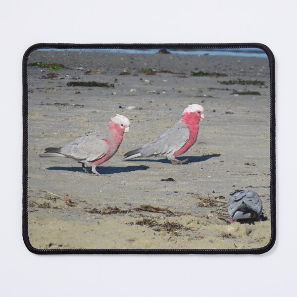Item preview, Beach galahs designed and sold by greentiger1.