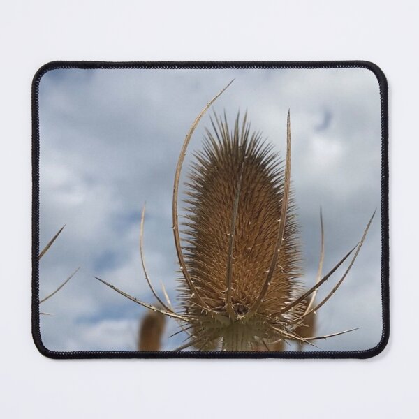 Item preview, Teasel designed and sold by MilkingChickens.