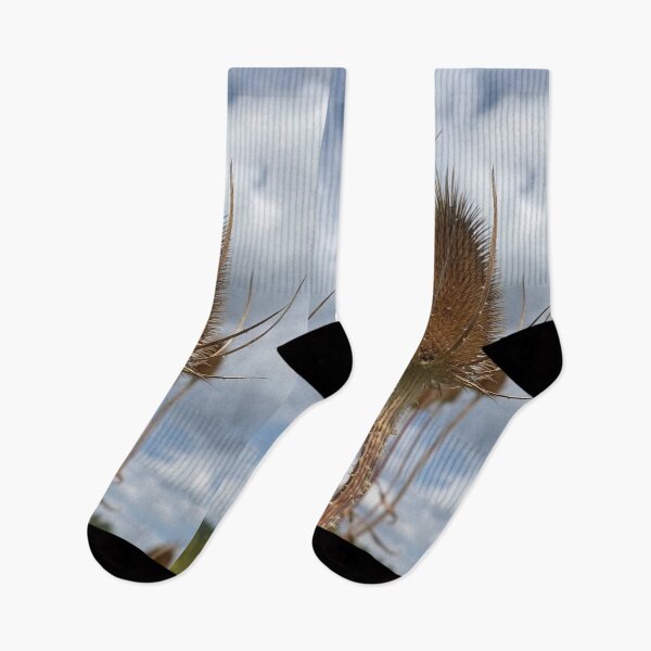 Item preview, Teasel designed and sold by MilkingChickens.