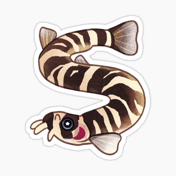 Kuhli Loach Sticker