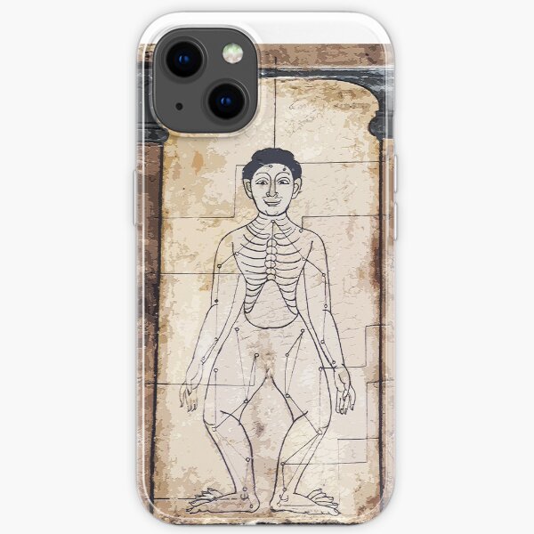 Traditional Thai Medicine Mural at Wat Pho iPhone Soft Case