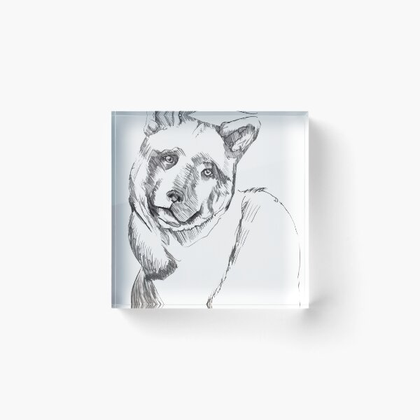Artikelvorschau, Hundeskizze, entworfen von Robb Swanlund entworfen und verkauft von robbsdesign.