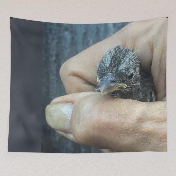 Item preview, Foundling Fledgling designed and sold by heatherfriedman.