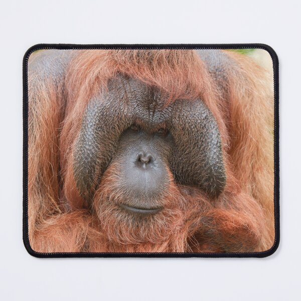 Item preview, Strength in Gentle Eyes designed and sold by rawshutterbug.