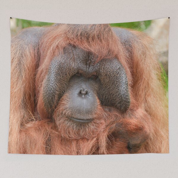 Item preview, Strength in Gentle Eyes designed and sold by rawshutterbug.