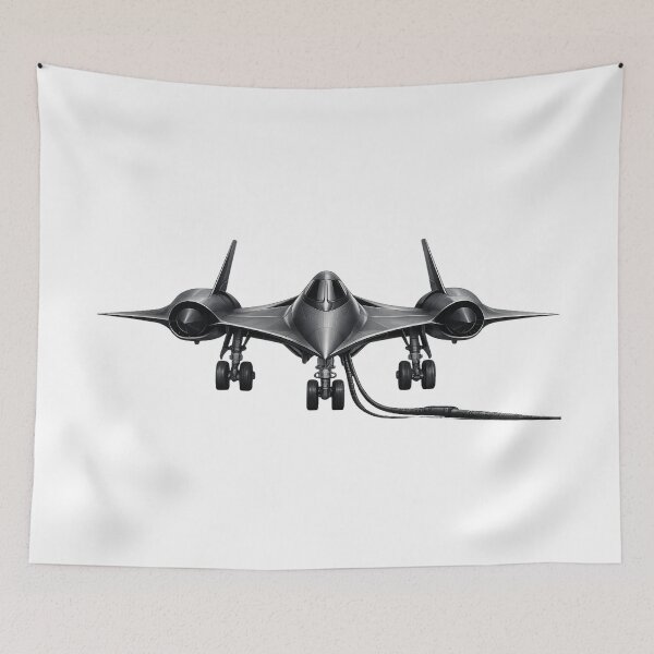 Item preview, SR-71 Blackbird Front View Aircraft Illustration designed and sold by Combat Skies.
