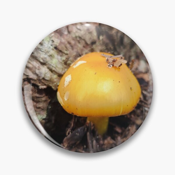 Item preview, Despite designed and sold by EveryDayWorld.