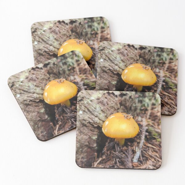 Item preview, Despite designed and sold by EveryDayWorld.