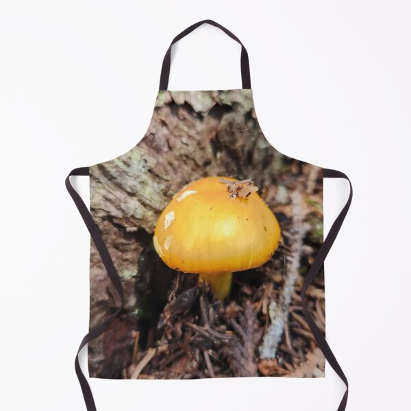 Item preview, Despite designed and sold by EveryDayWorld.