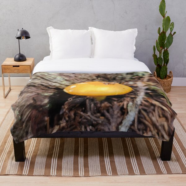 Item preview, Despite designed and sold by EveryDayWorld.
