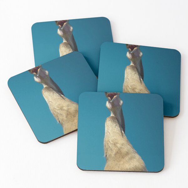 Item preview, Curious Bird Ludwig Looks Upward designed and sold by Khaactorwriter.
