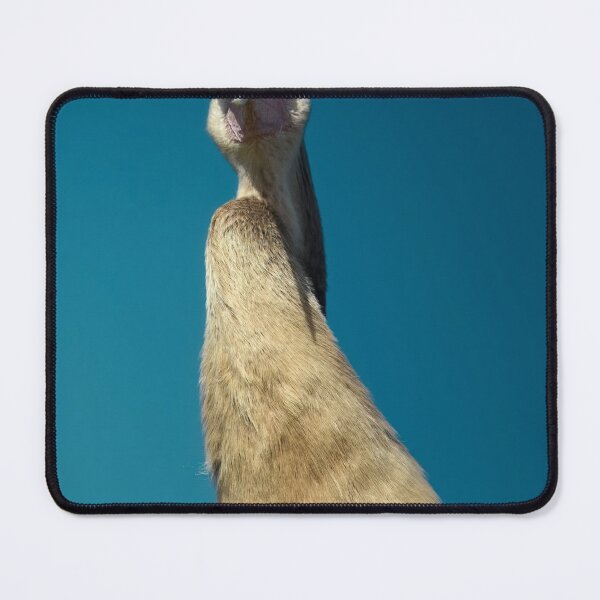 Item preview, Curious Bird Ludwig Looks Upward designed and sold by Khaactorwriter.