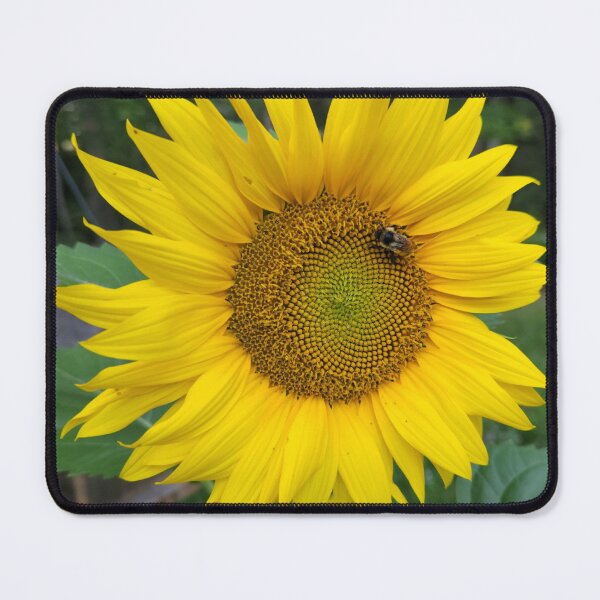 Item preview, Busy Bee designed and sold by EveryDayWorld.