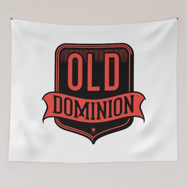 Item preview, Paraglider Over Old Dominion Band Coastal Cityscape designed and sold by Khaactorwriter.