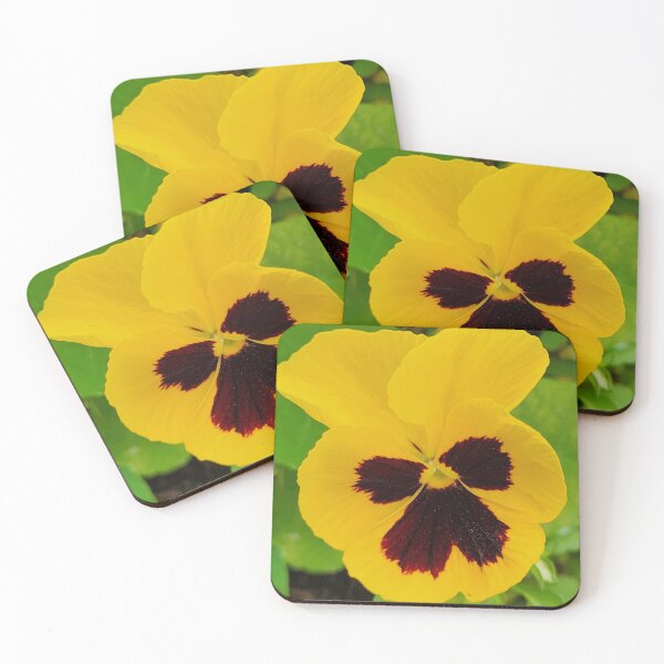 Item preview, Bold as Brass designed and sold by EveryDayWorld.