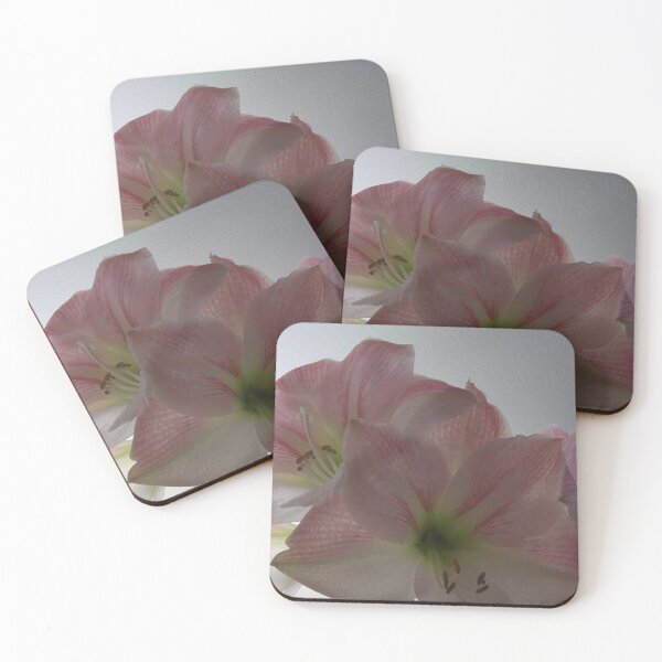 Item preview, Bloom designed and sold by EveryDayWorld.