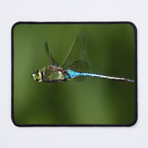 Item preview, Flying Dragonfly with Unesco Blue Abdomen designed and sold by Khaactorwriter.