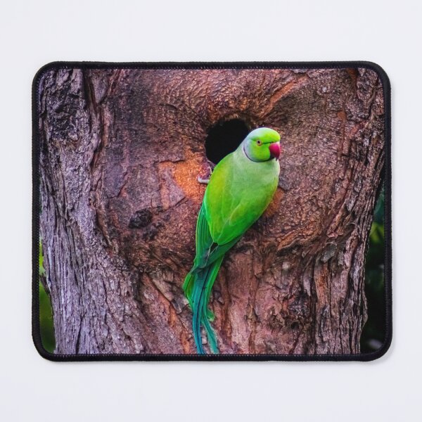 Item preview, Green Parrot Perched in Tree Hollow designed and sold by LensAndJi.