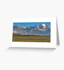 A gaggle Greeting Card